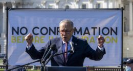Schumer Vows to Block Voter ID Despite 71% of Dems Supporting It: ‘Jim Crow 2.0.’