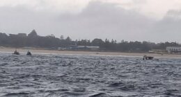 A search for a missing swimmer at Maroubra Beach was suspended at 5.30pm