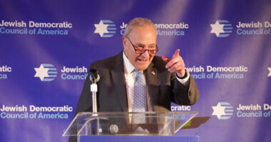 Senate Democrats Want These Restrictions on ICE to End Their Latest Shutdown: