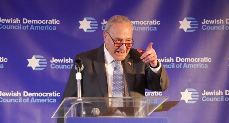 Senate Democrats Want These Restrictions on ICE to End Their Latest Shutdown: