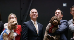 Senate Goes To The Dogs While SAVE America Act Stalls