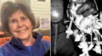Sheriff reveals mystery DNA found at Nancy Guthrie’s home doesn’t belong to anyone ‘close’ to her