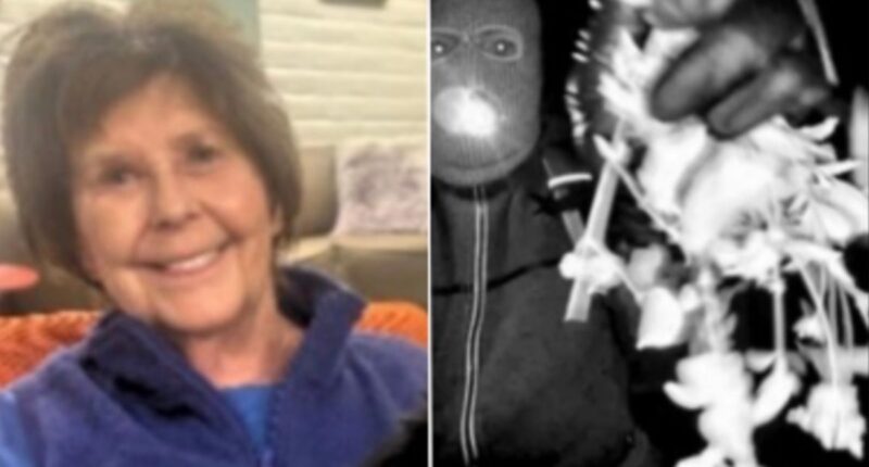 Sheriff reveals mystery DNA found at Nancy Guthrie’s home doesn’t belong to anyone ‘close’ to her