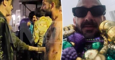 Shia LaBeouf allegedly hurled gay slurs during bar brawl, arrest