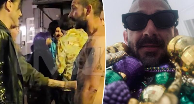 Shia LaBeouf allegedly hurled gay slurs during bar brawl, arrest