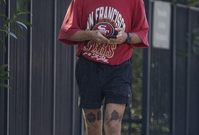 Shia LaBeouf appeared to be laying low in New Orleans , Louisiana, just days after his chaotic Mardi Gras arrest earlier this week