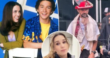 Shia LaBeouf's former 'Even Stevens' co-star Christy Carlson Romano shades actor post-arrest