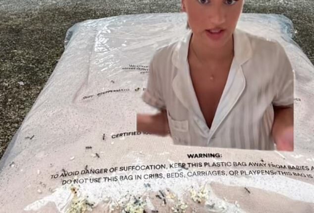A young woman has been left shaken after opening an online fashion order to discover it was crawling with ants and what appeared to be insect eggs