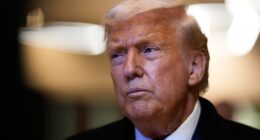 Six Republicans Join Democrats As House Votes to Undo Canada Tariffs – RedState