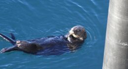 Snowstorm Frolics in Baltimore – RedState