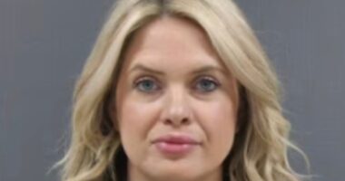 Social media reacts to boutique owner’s glamorous mugshot following 12th arrest: ‘Time to make a calendar’