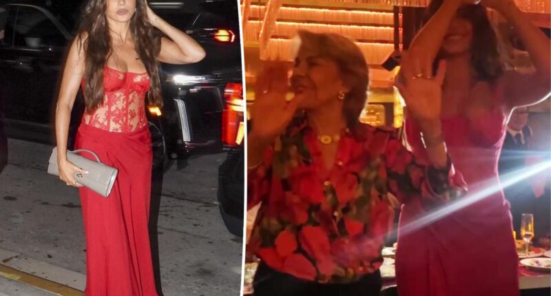 Sofia Vergara rocks plunging red dress in Miami for dinner turned family fiesta