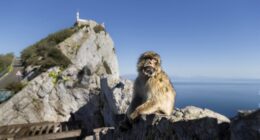 Starmer Sold Out Gibraltar, Too – HotAir