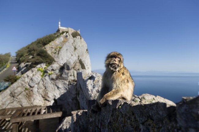 Starmer Sold Out Gibraltar, Too – HotAir