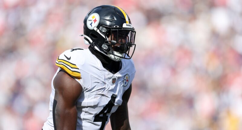 Steelers Linked to 'Bully' Wide Receivers to Pair With D.K. Metcalf