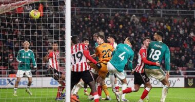 Virgil van Dijk scored the winner just after the hour mark as his header went in off Habib Diarra