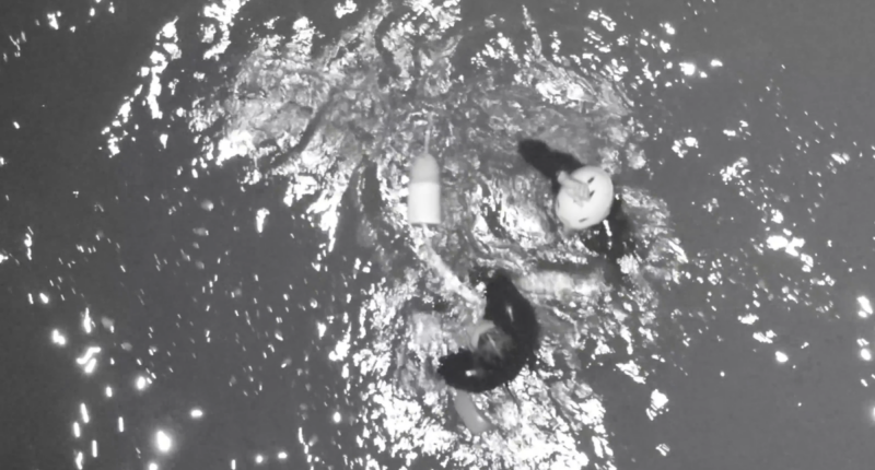 Surfer found clinging to lobster pot buoy by rescuers after being swept out to sea