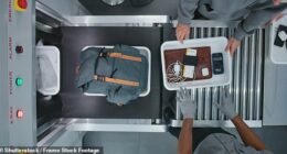 The Transportation Security Administration has shared the most shocking items confiscated in 2025 - with the bizarre list ranging from weapons to wildlife (stock image)