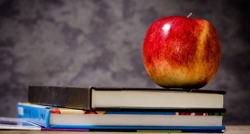 Tennessee Can Stop Illegals From Overrunning American Schools