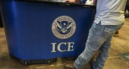 Tense Moments at Student-Involved Anti-ICE Protest in Los Angeles – RedState