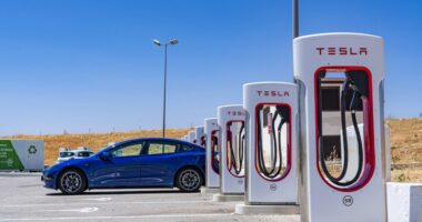 Tesla’s stock rallies higher to end a rough week