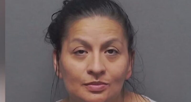 Texas Daycare at Center of Lawsuit, Former Worker Faces Felony for ‘Violently’ Striking Tot