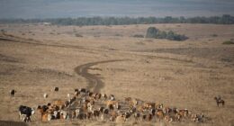 Celebrity Net Worth logo