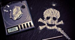 The Cartels Are Blending Fentanyl With Chinese Animal Tranquilizer to Boost Addiction.