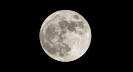 The drama and developments of yesterday's Full Moon in Leo are now dissipating. This specific Full Moon illuminated our inner child. Stock image used