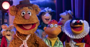The Underrated Muppets Who Deserve More Love