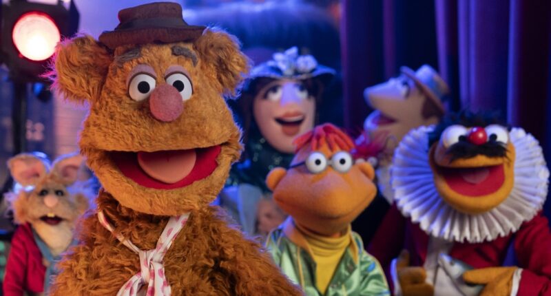 The Underrated Muppets Who Deserve More Love