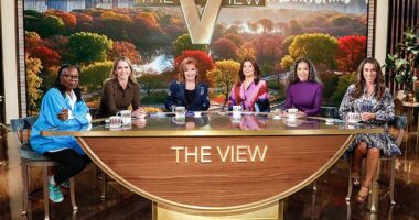 Donald Trump's Federal Communications Commission may be taking on The View amid a new crackdown demanding equal time for candidates