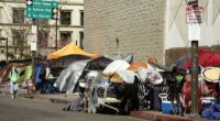 Los Angeles has declined over the last 10 years, as streets have become filled with homeless people and drug addicts, making residents feel unsafe (pictured: Skid Row in March 2020)