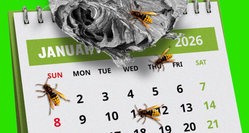 The labor market was bad last year. Will investors get stung by a poor January jobs report, too?