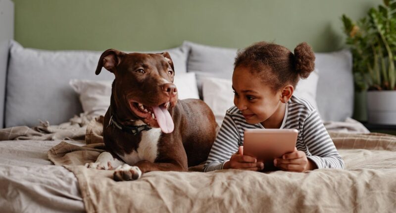 The toll growing up with pets takes on children’s mental health