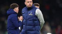 John Heitinga left Tottenham of his own volition rather than being sacked, his agent has shared