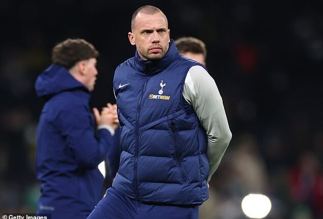 John Heitinga left Tottenham of his own volition rather than being sacked, his agent has shared