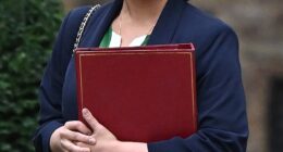 Home Secretary Shabana Mahmood has secured deals with three African countries after the Home Office threatened to impose visa restrictions