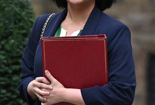 Home Secretary Shabana Mahmood has secured deals with three African countries after the Home Office threatened to impose visa restrictions