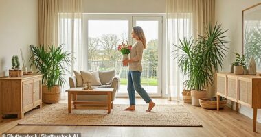 Some of the UK's top interior design experts have revealed why February is one of the best times to give your home a much-needed revamp