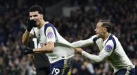 Dominic Solanke (left) scored a stunning equaliser for Tottenham against Manchester City