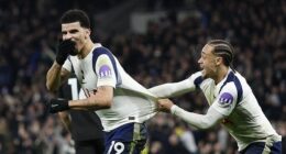 Dominic Solanke (left) scored a stunning equaliser for Tottenham against Manchester City