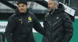 Former Borussia Dortmund boss Edin Terzic and ex-Leipzig boss Marco Rose are options