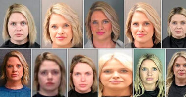 Town Scandalized By Boutique Owner Whose Mugshots Show Lips Growing Each Time