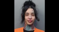 Trans Porn Model Arrested for Stabbing Man Who Declined Sex.
