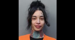 Trans Porn Model Arrested for Stabbing Man Who Declined Sex.