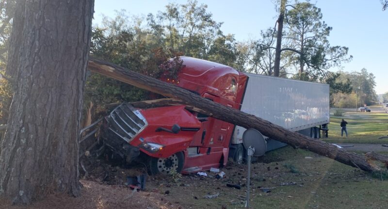 Trump Has Shut Down Nearly 8,000 Sham Truck Driving Schools.