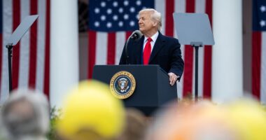 Trump Has Tariff Power And Here's How He Can Use It