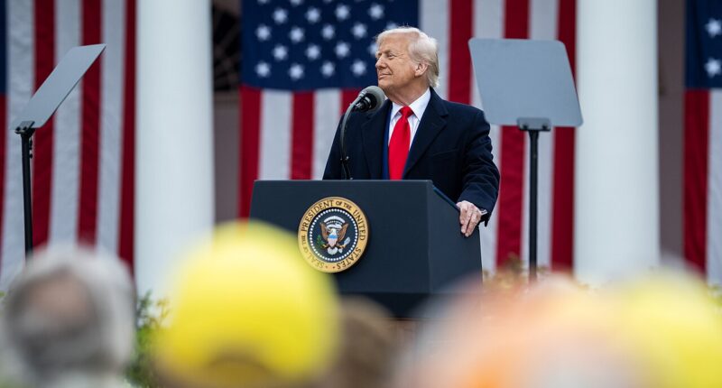 Trump Has Tariff Power And Here's How He Can Use It