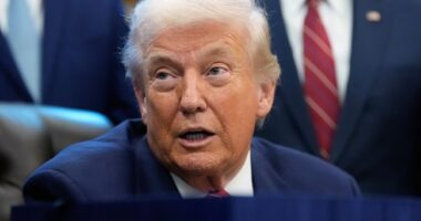 Trump Plans to Crush 'Horrible, Disingenuous Cheater' Dems With Voter ID EO to Lock Down Midterms, Beyond – RedState